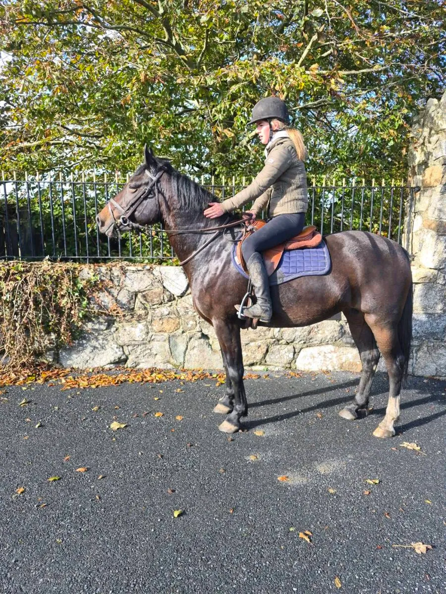 Perfect happy hacker for sale in Louth for €4,000 on DoneDeal
