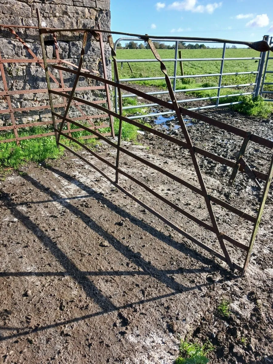 Antique farm gates - Image 1