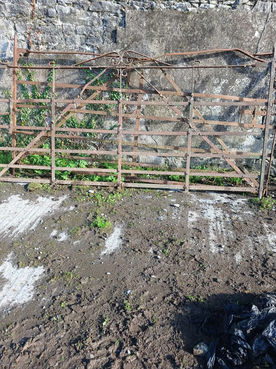 Antique farm gates - Image 3