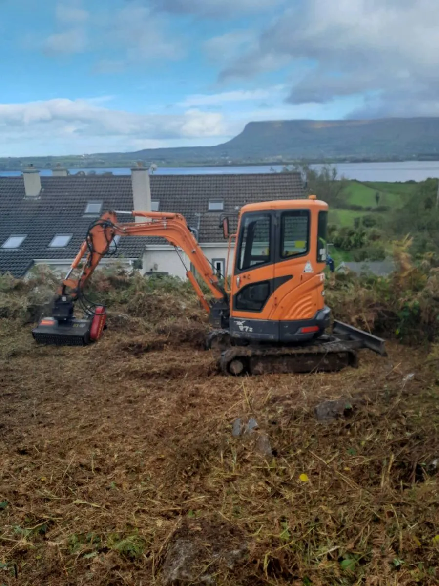 MINI DIGGER WITH DRIVER HIRE - Image 3