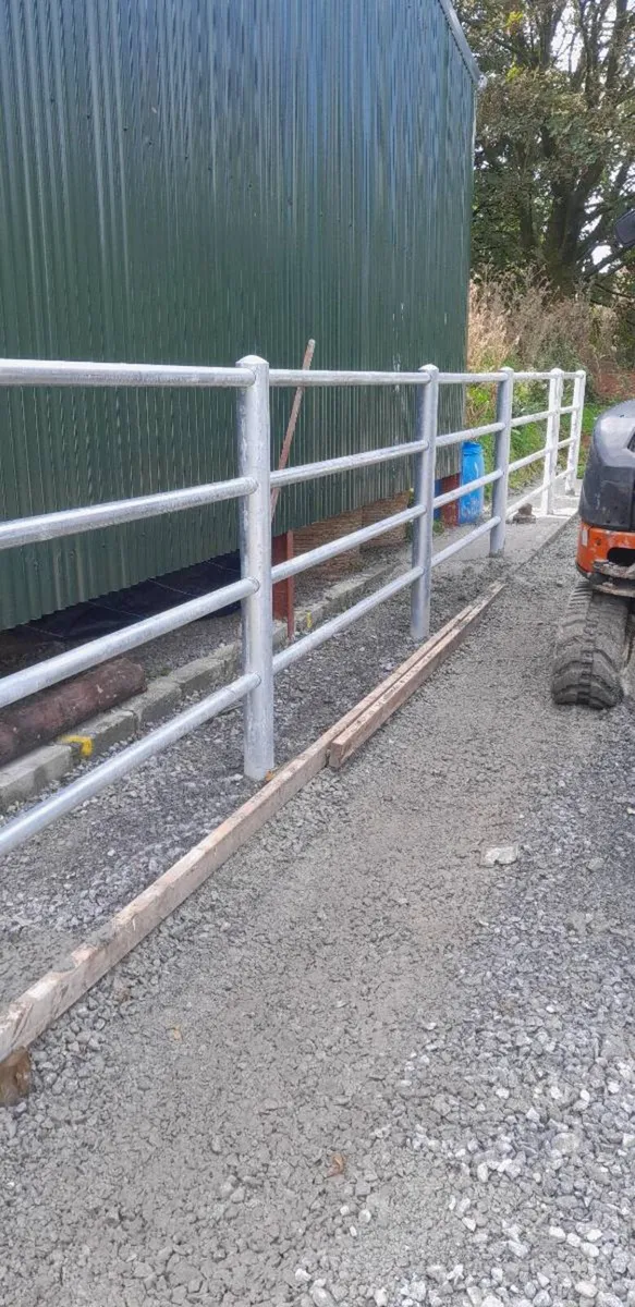 MINI DIGGER WITH DRIVER HIRE - Image 4