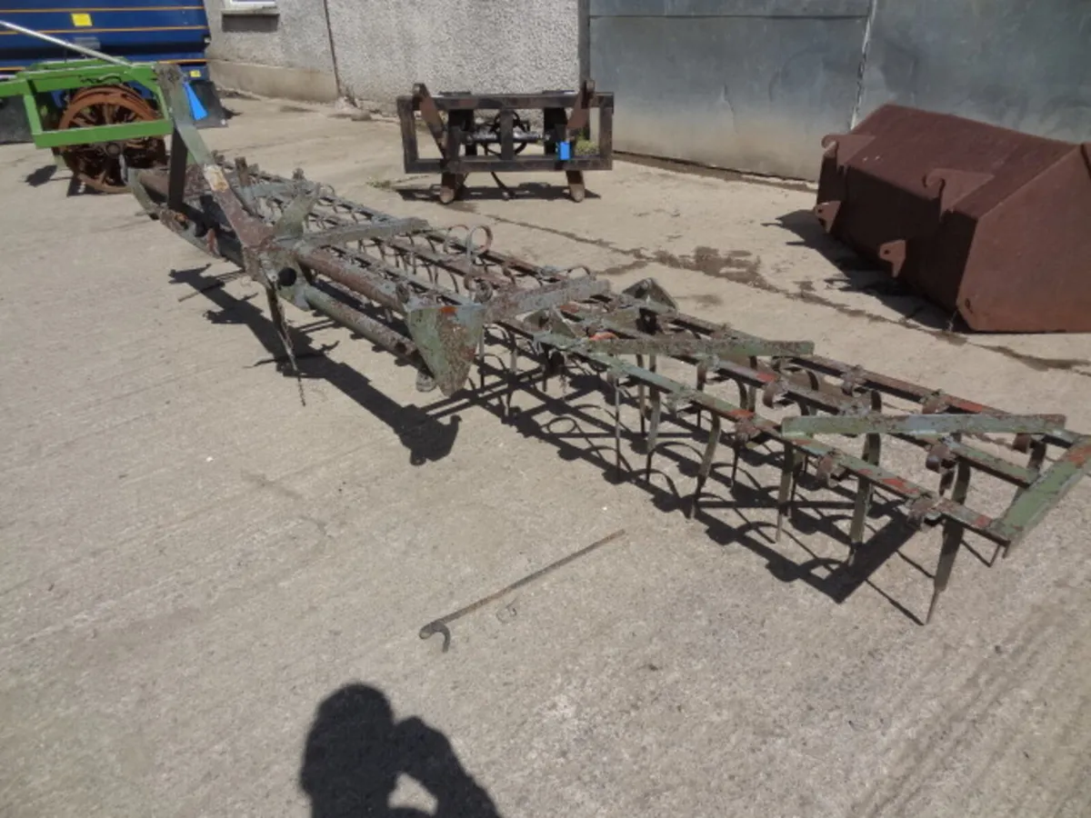 Massey Ferguson Springtine Weeder - Image 1