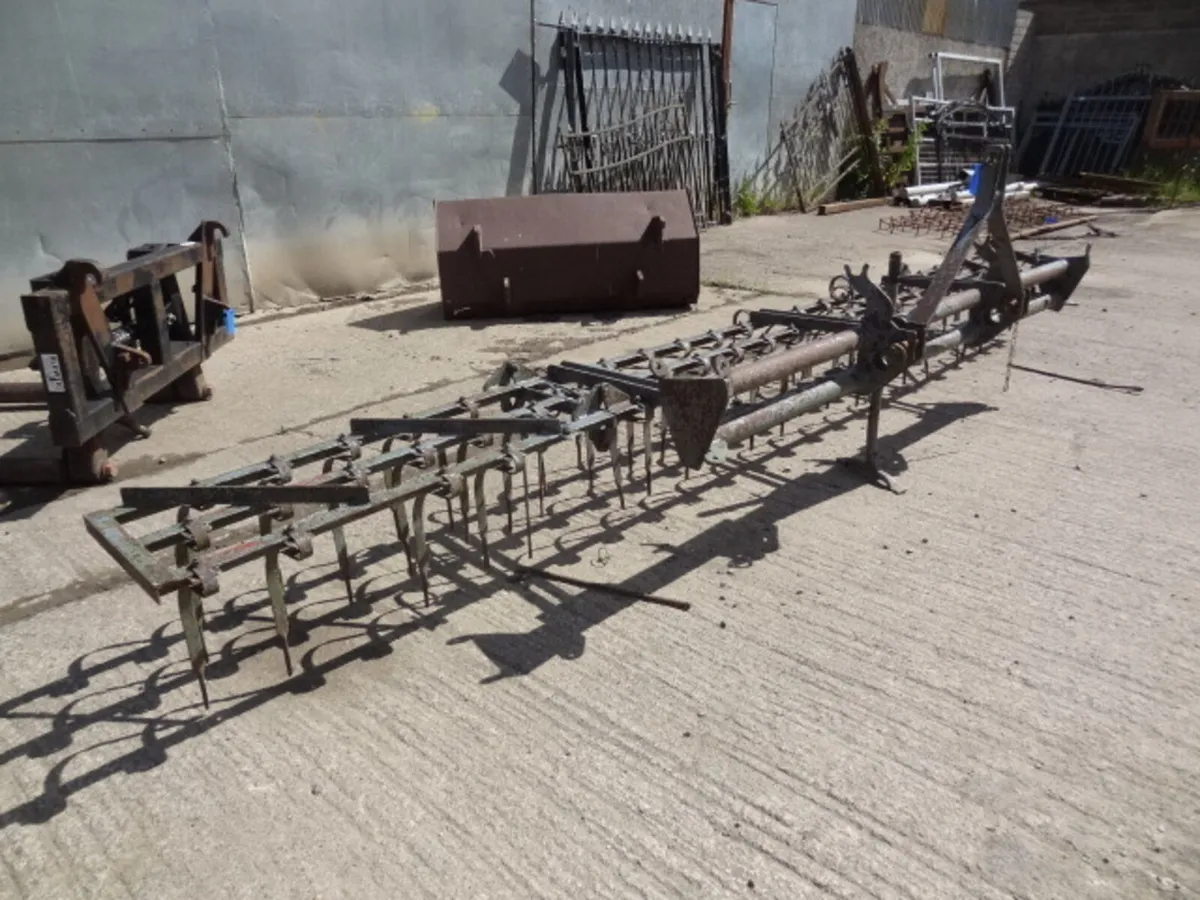 Massey Ferguson Springtine Weeder - Image 3