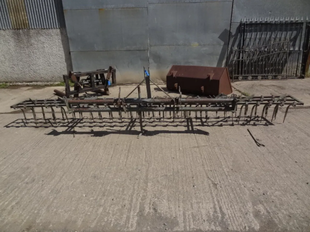 Massey Ferguson Springtine Weeder - Image 2