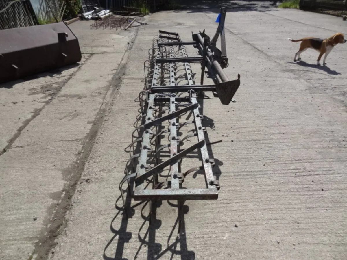 Massey Ferguson Springtine Weeder - Image 4