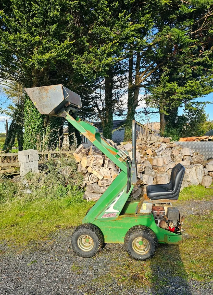 Avant loader - Image 2