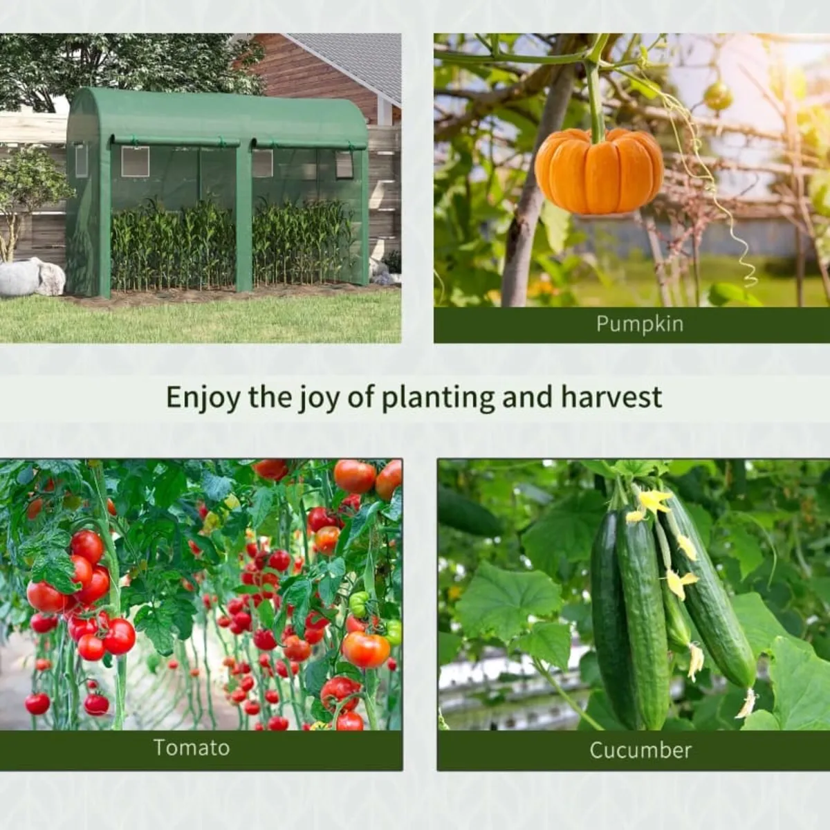 Garden Plant Tomato Growth Greenhouse with Double - Image 4