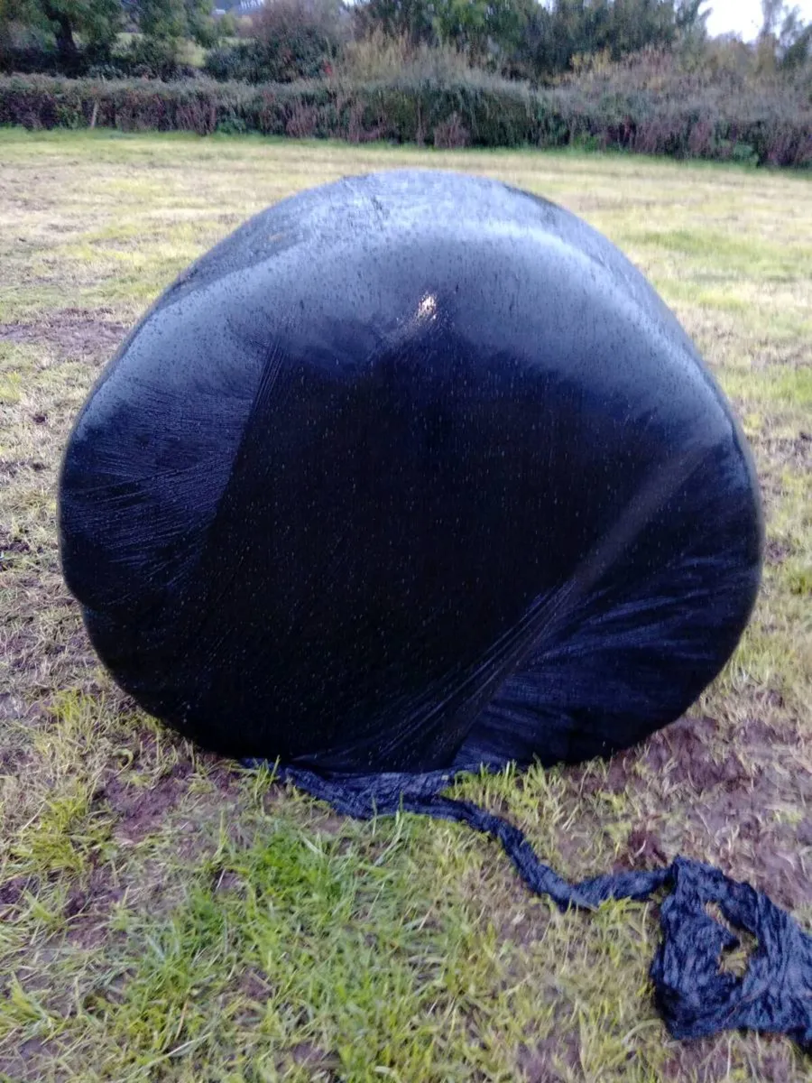 Silage Bales