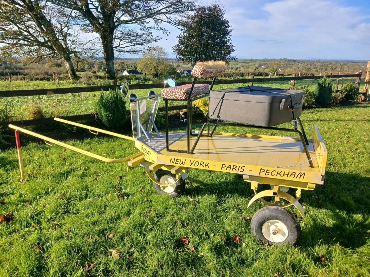 3 wheel Del Boy style Shetland pony cart - Image 1