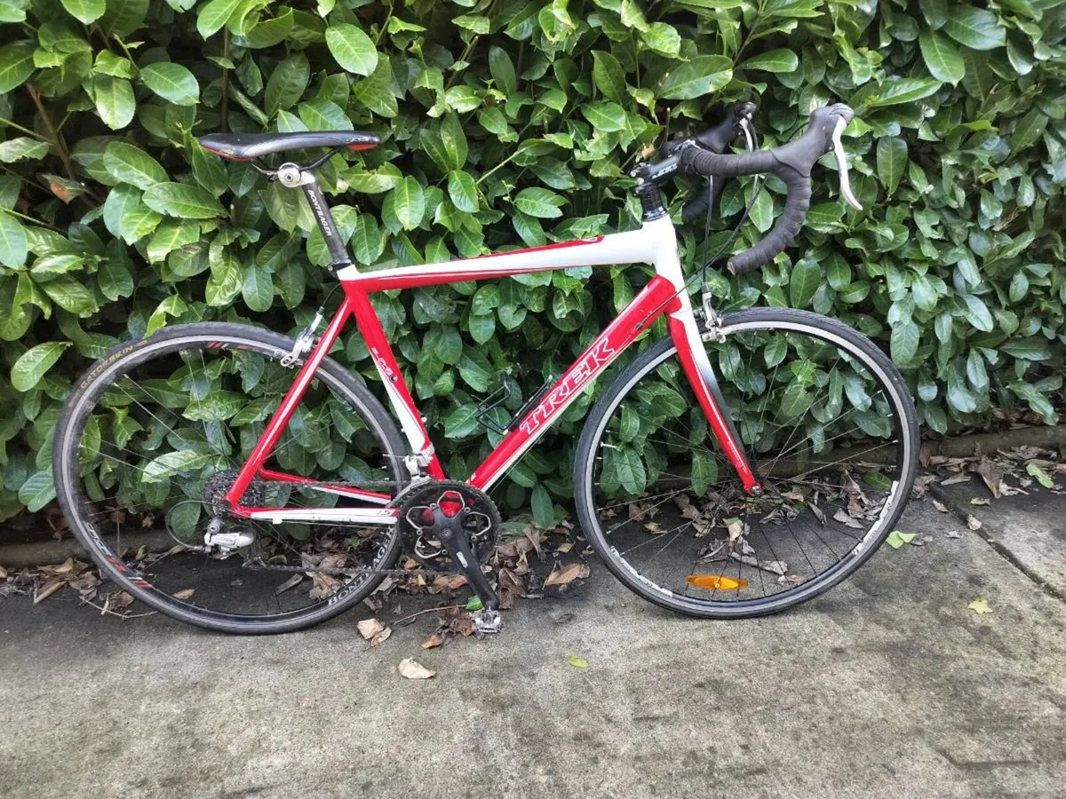 Trek racing bike - Image 2