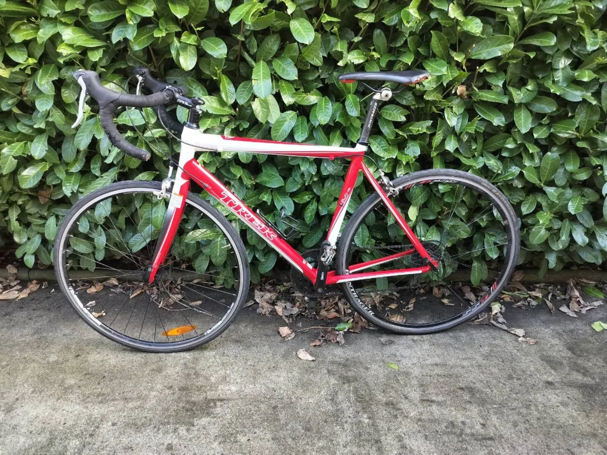 Trek racing bike - Image 1