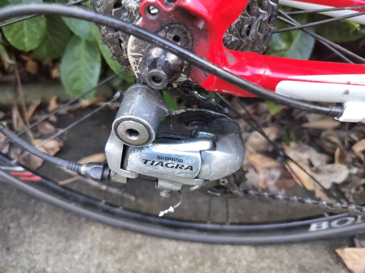 Trek racing bike - Image 3