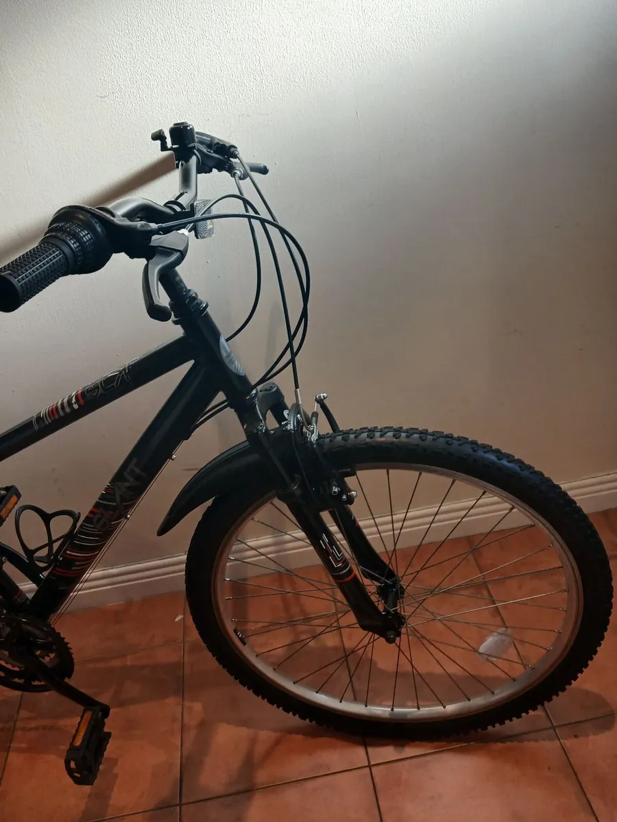 Bicycle - Image 4