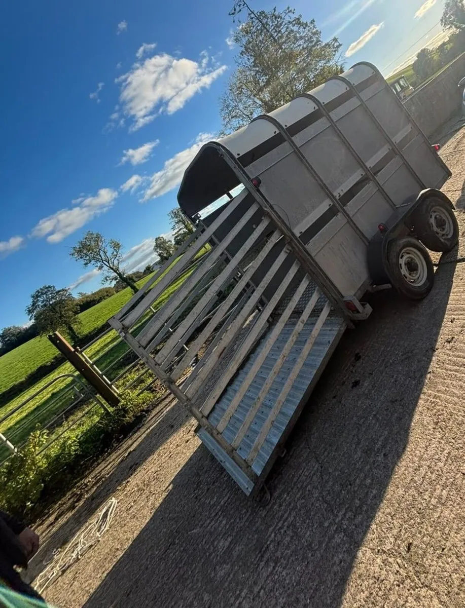 Cattle trailer - Image 2