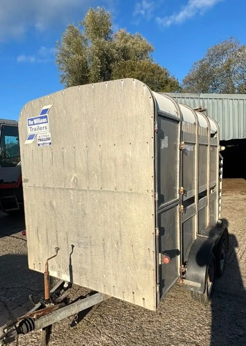 Cattle trailer - Image 3