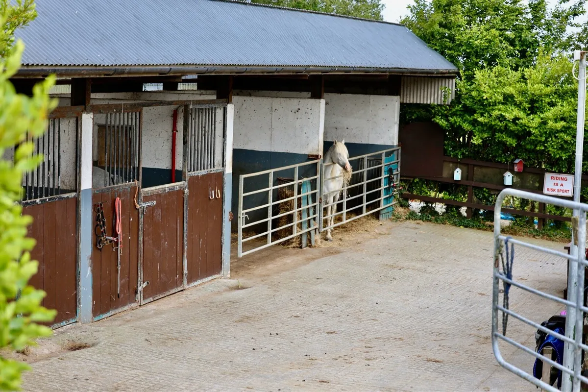 Livery available - Image 1