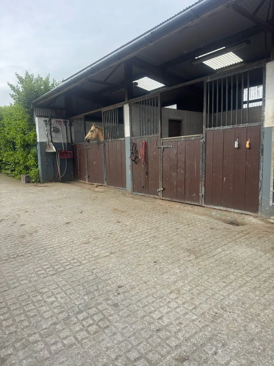Livery available - Image 4