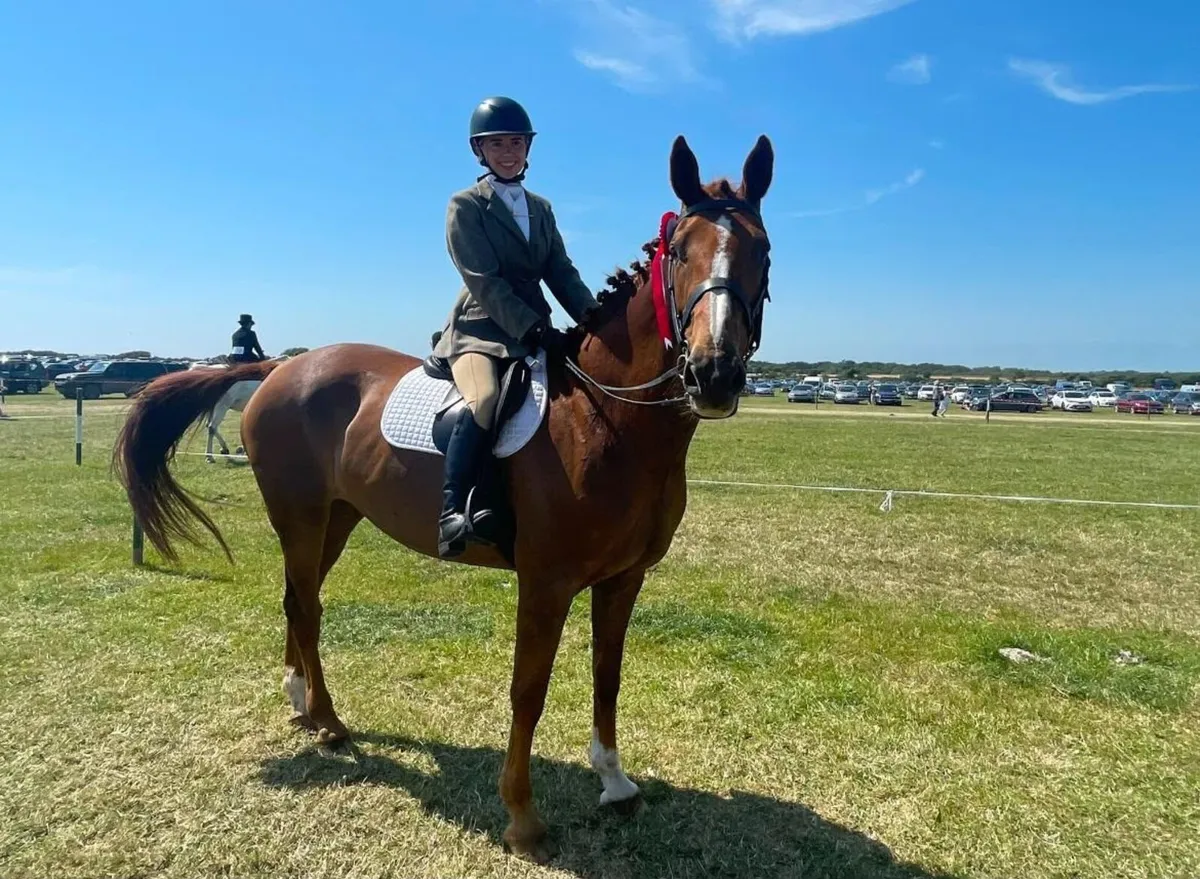 Beautiful 16.3hh Mare – Genuine All-Rounder - Image 1