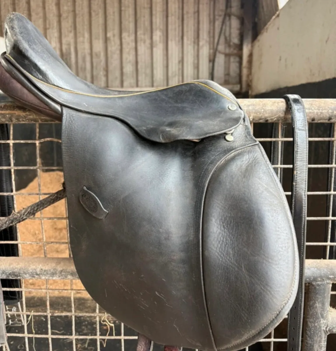 Saddles - Image 2