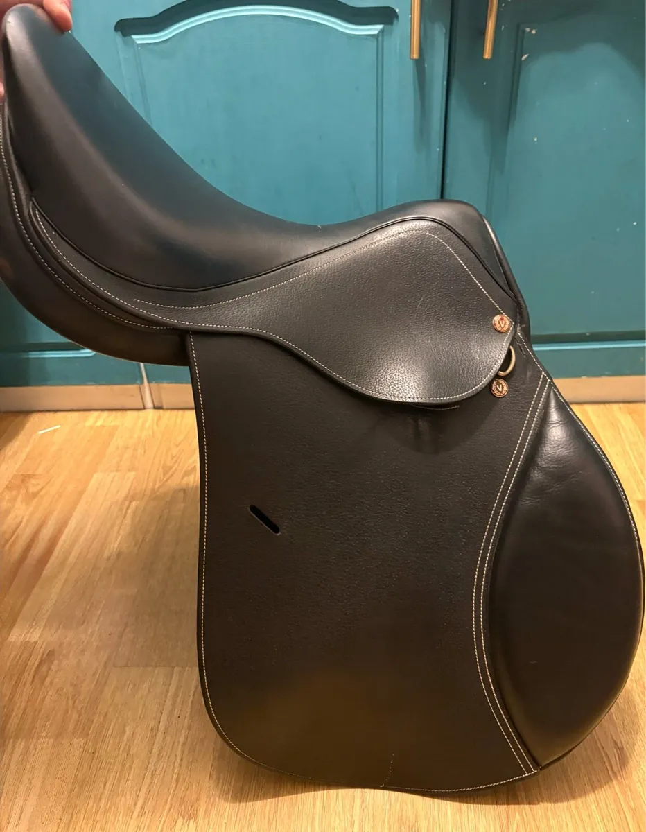 Saddles - Image 1