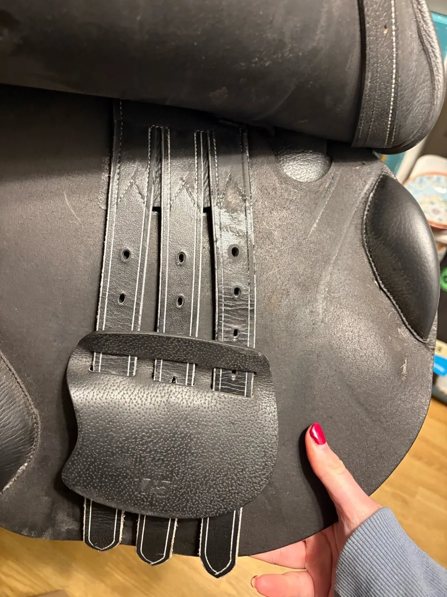 Saddles - Image 4