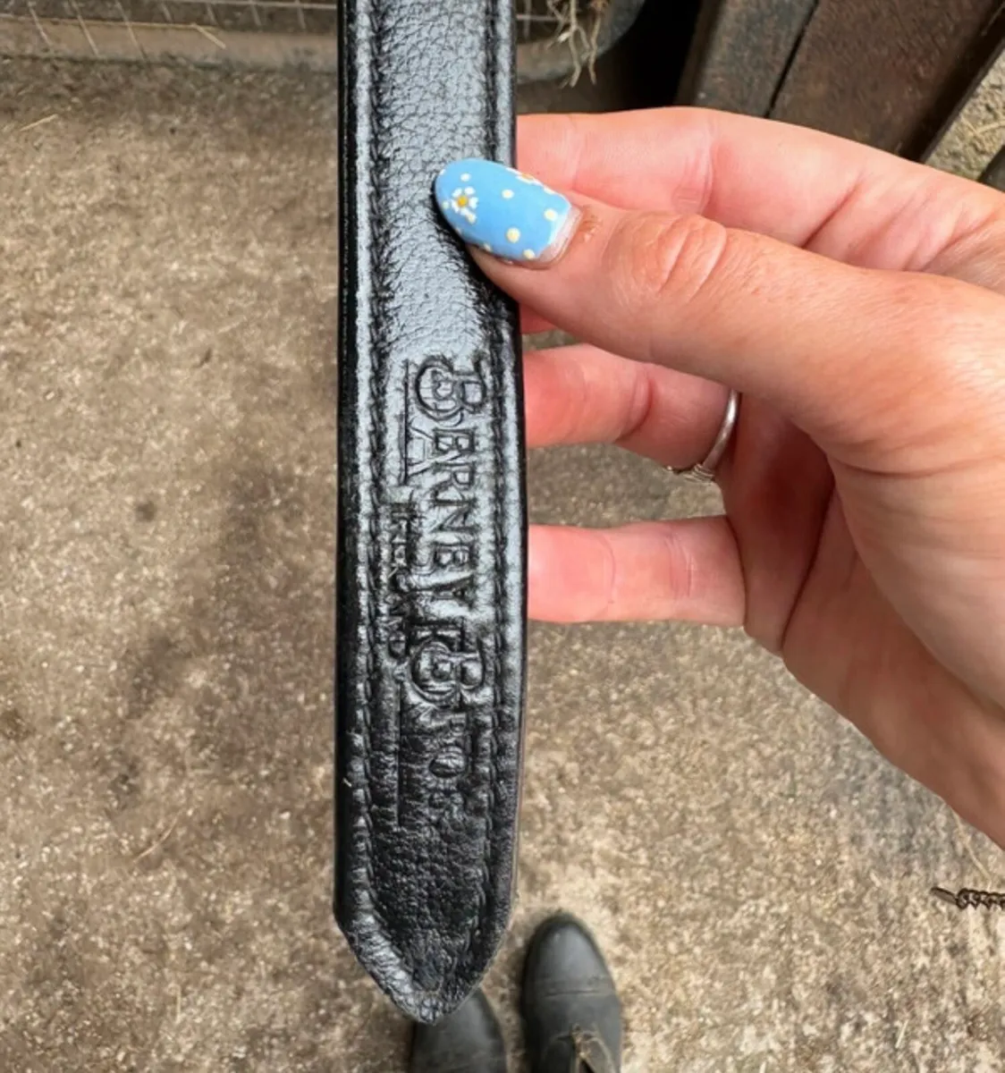 Saddles - Image 3