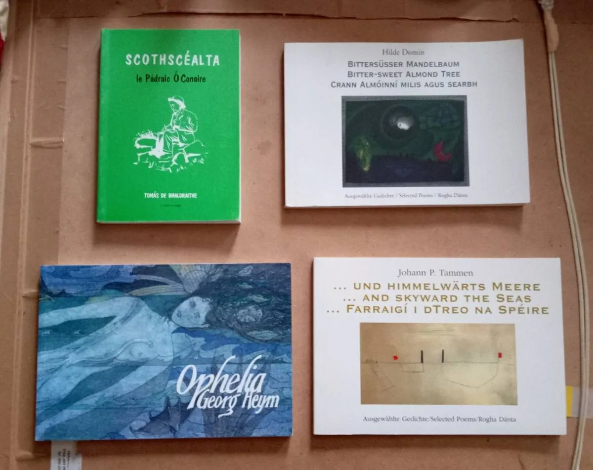 Irish Books Any 6 for €20 (9 photos) - Image 4