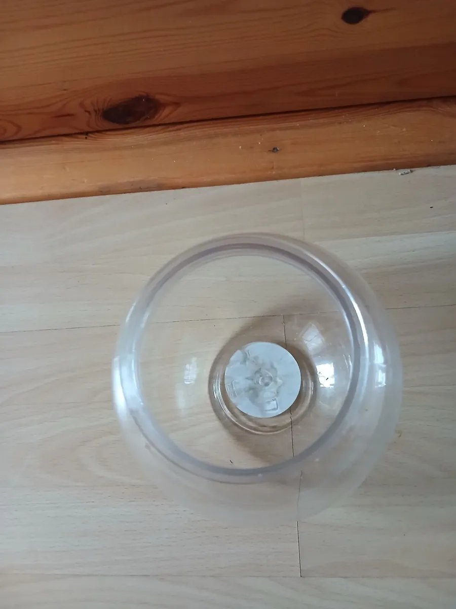 Cocktail bowl - Image 2
