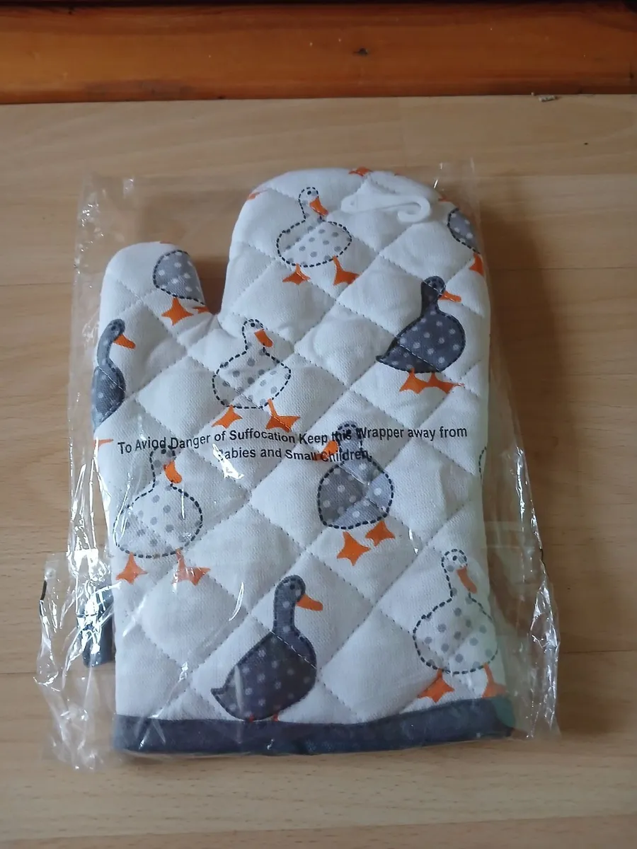 4 Placemats & Glove - Image 3