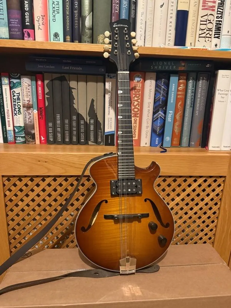 Eastman ER- M SB - Image 1