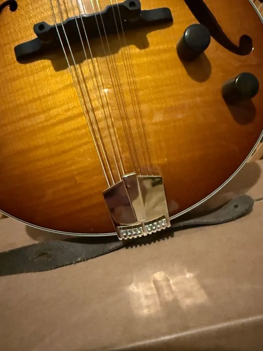 Eastman ER- M SB - Image 3