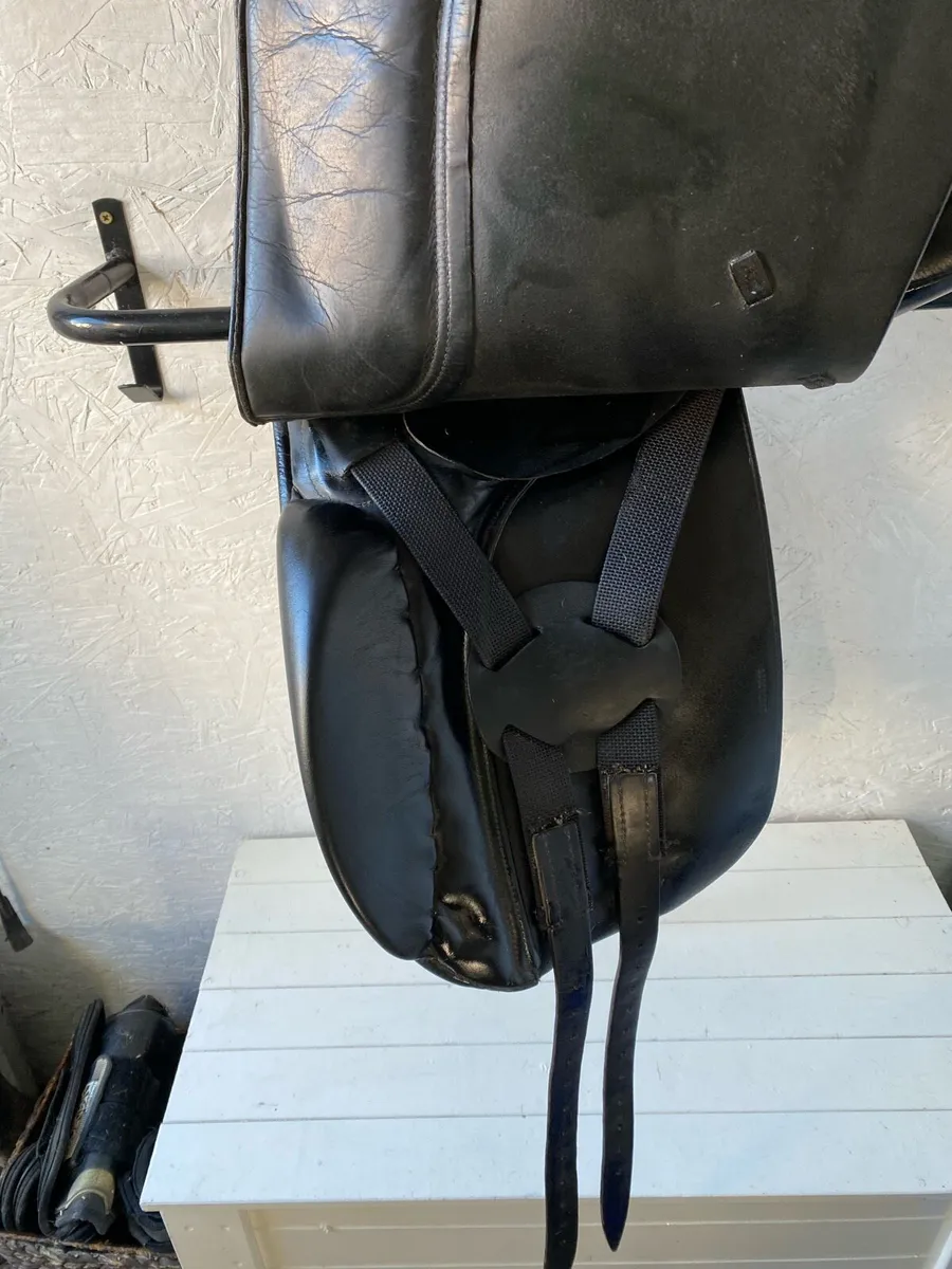 ANKY Dressage Saddle - Image 3