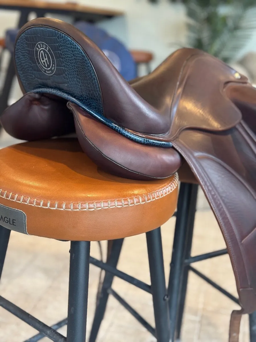 Dressage saddle Arion Sellier - Image 3