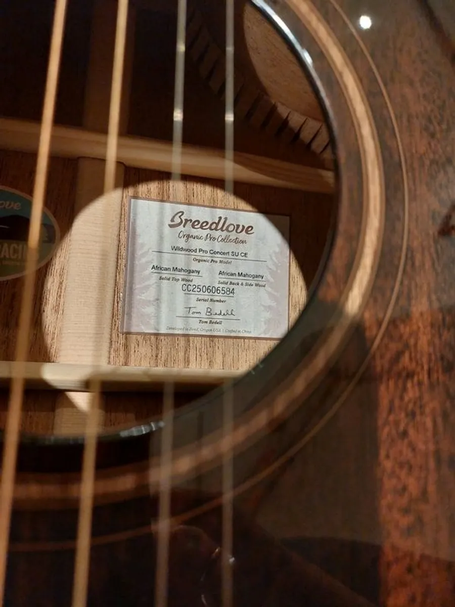 Breedlove Concert Pro guitar. - Image 2