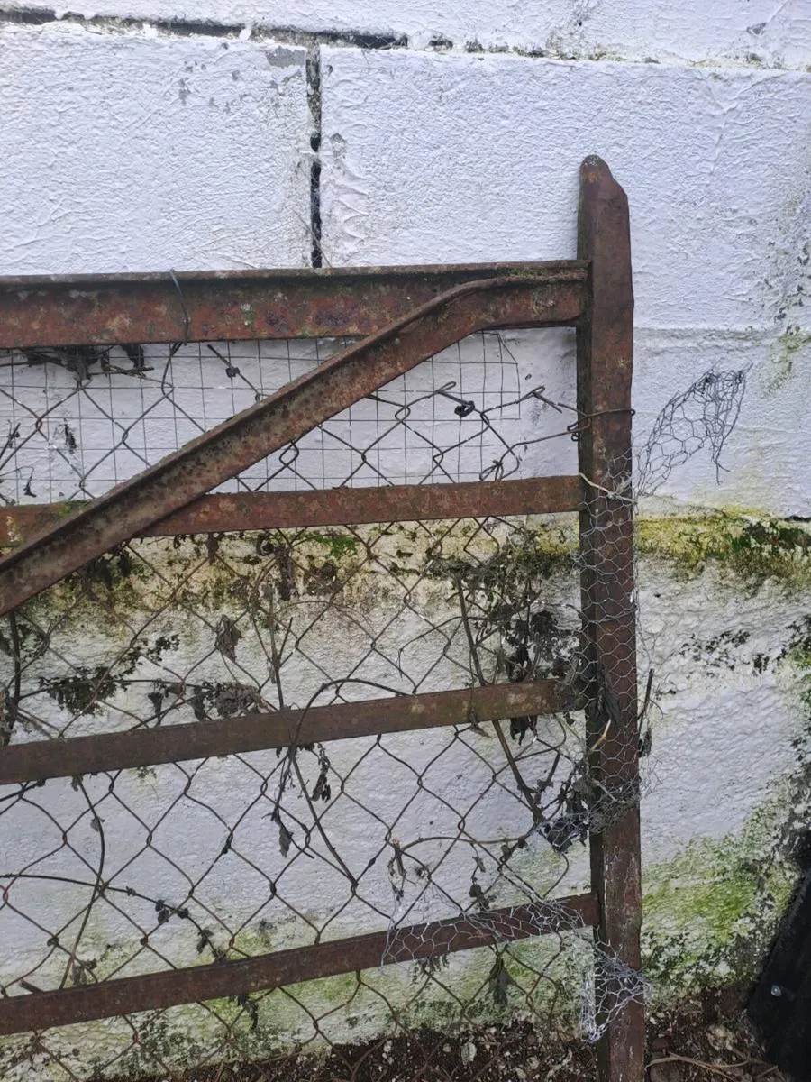 Old forge gate - Image 3