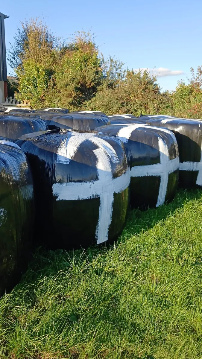 Silage - Image 1