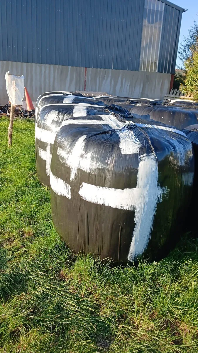 Silage - Image 2