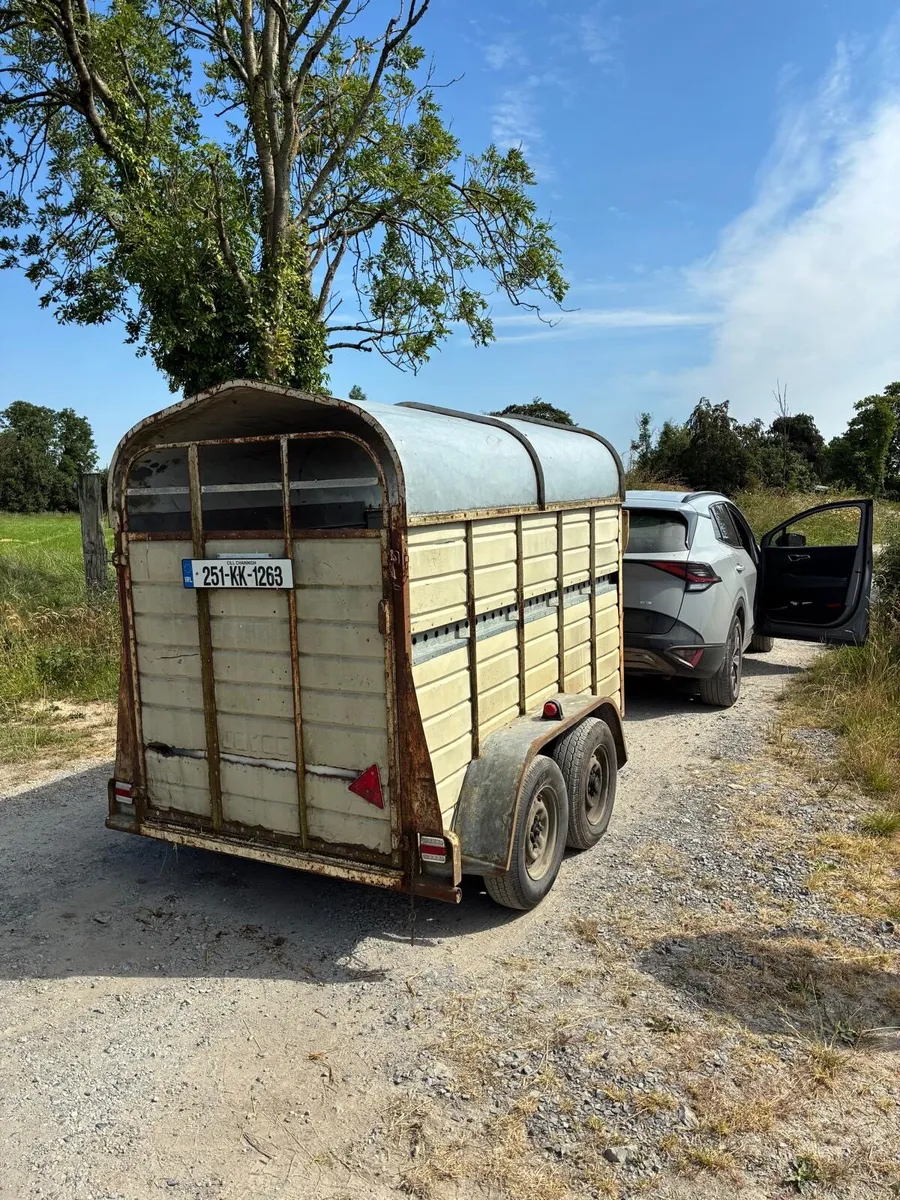 Cattle Trailer - Image 3