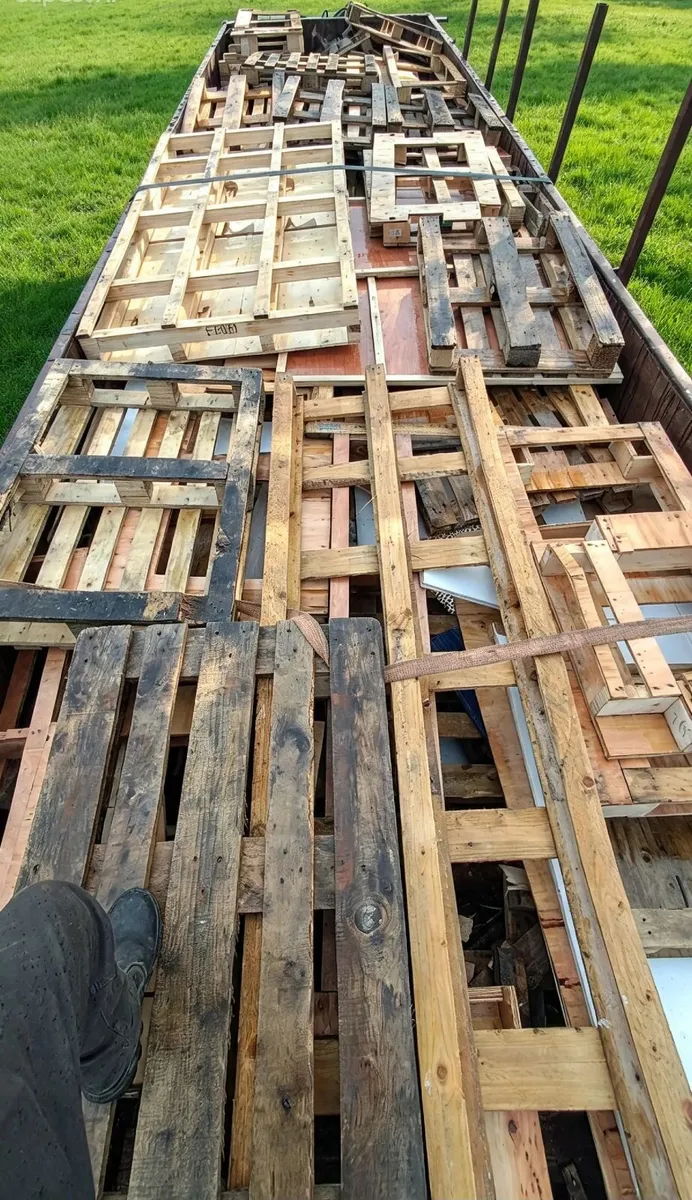 Firewood timber - Image 1