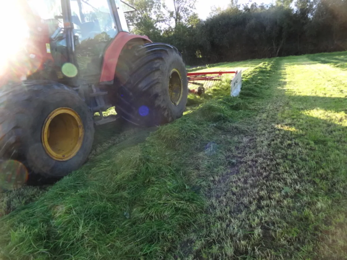 Lely Hibiscus 455 Single Rotor Rake - Image 3