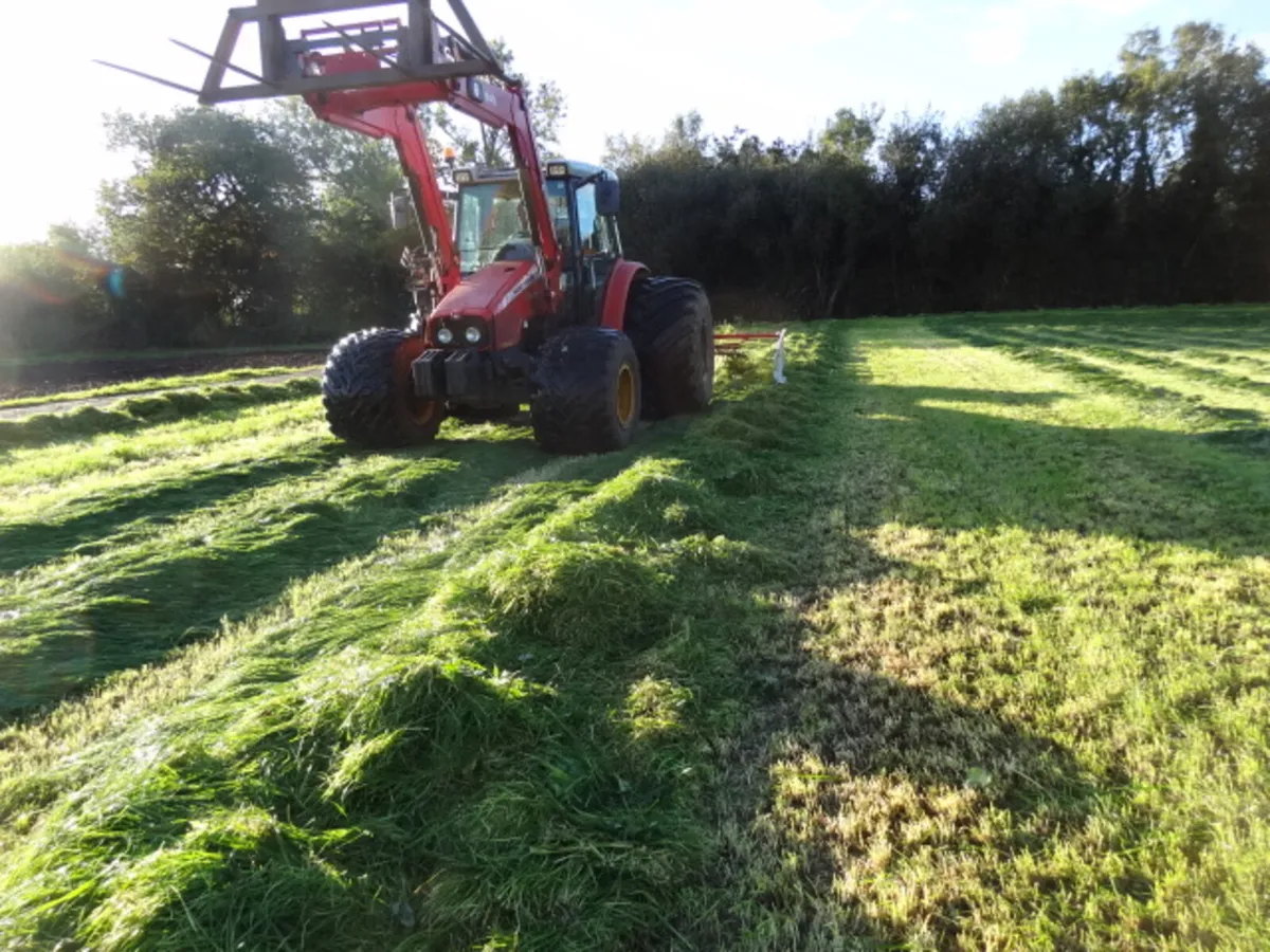 Lely Hibiscus 455 Single Rotor Rake - Image 4