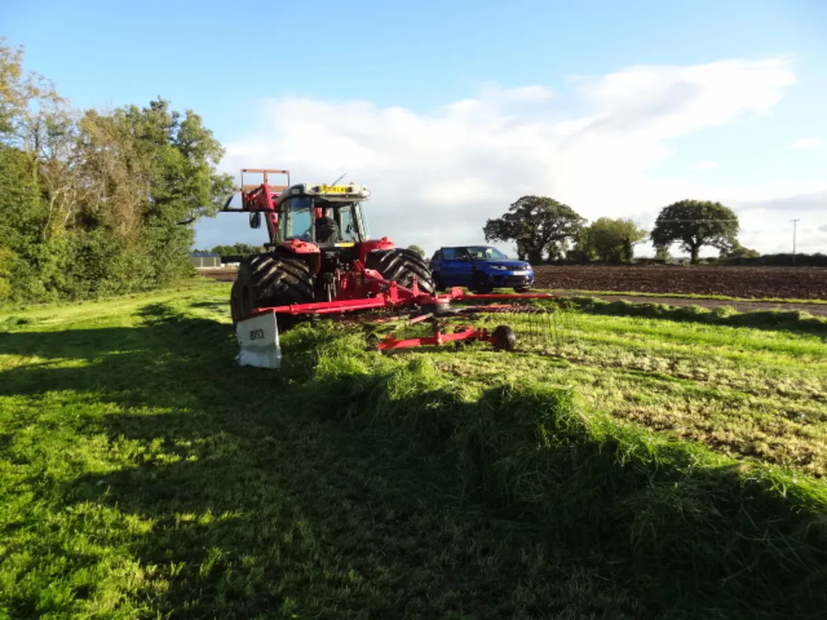 Lely Hibiscus 455 Single Rotor Rake - Image 2