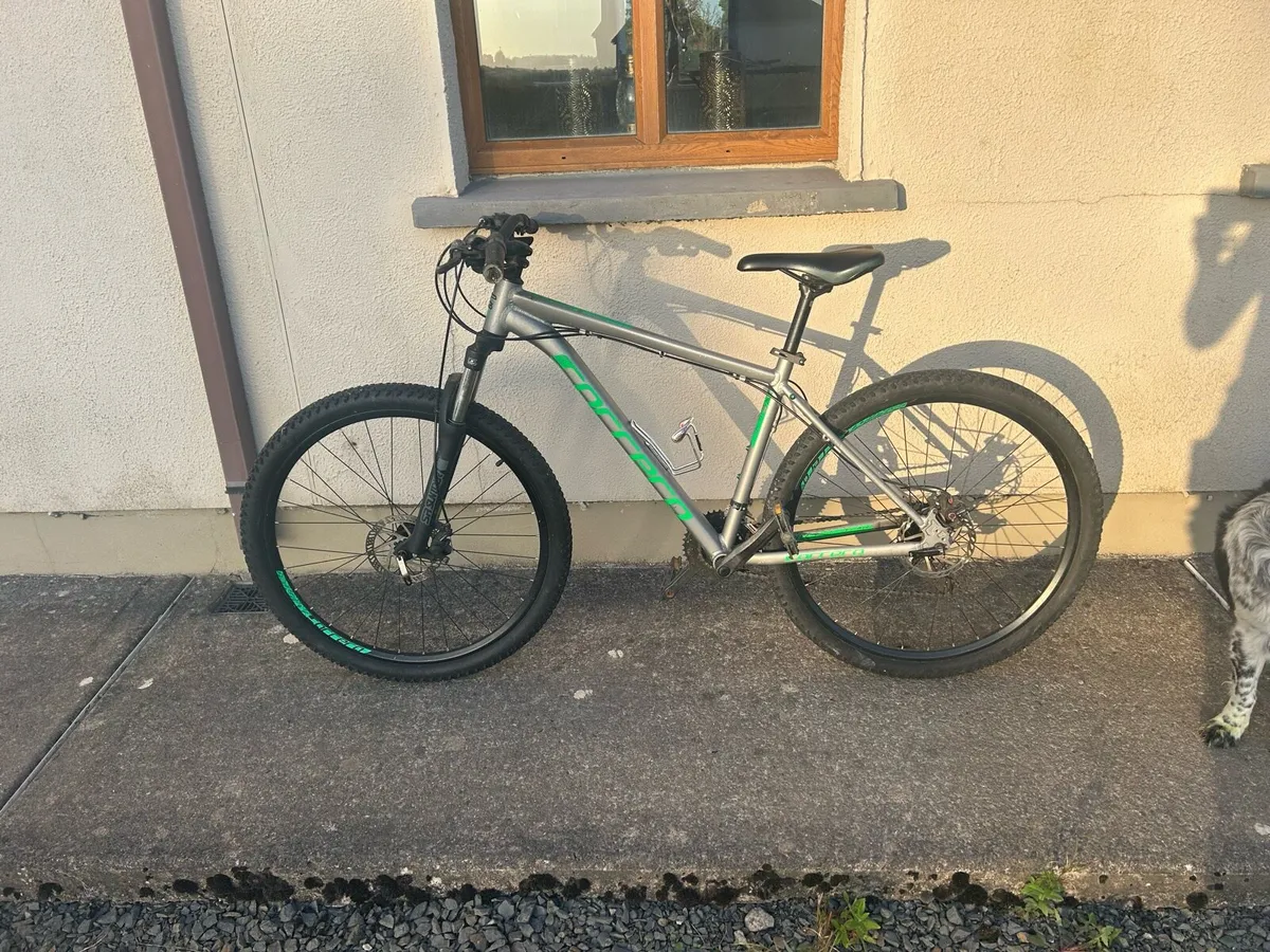 Carrera mountain bike - Image 1