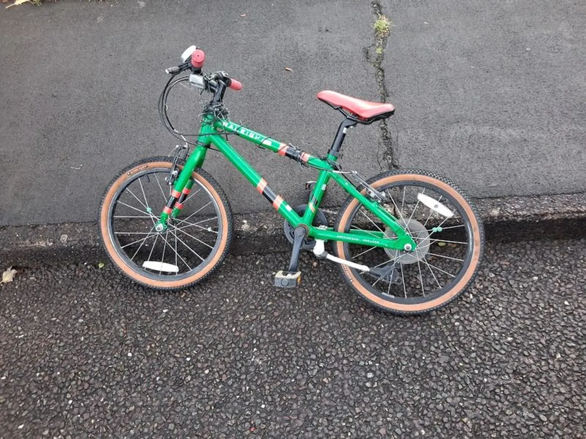RALEIGH POP 18 bike 5 year old