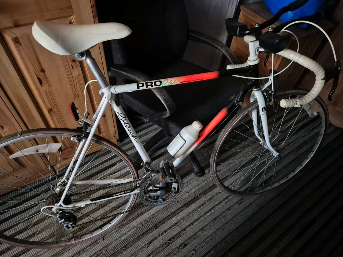 Raleigh Pro Racer - Image 1