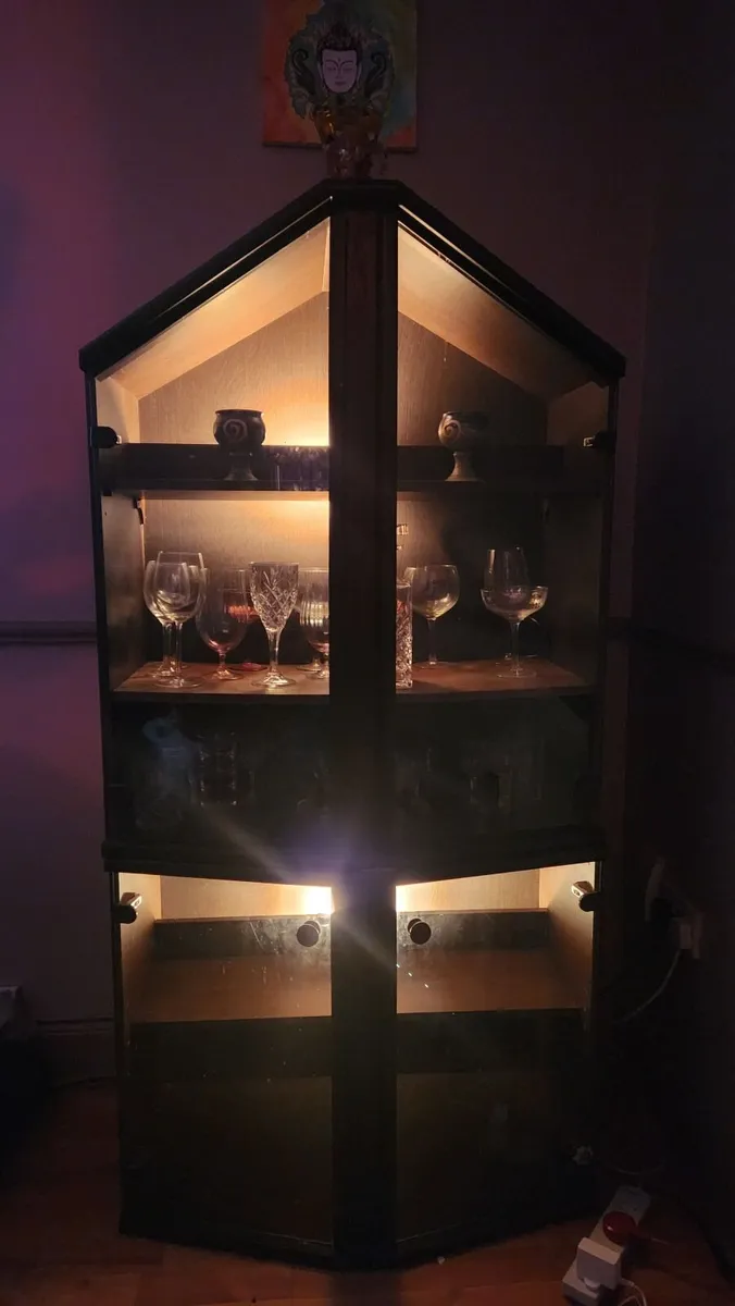 Vintage look Glass Cabinet with Lights - Image 1
