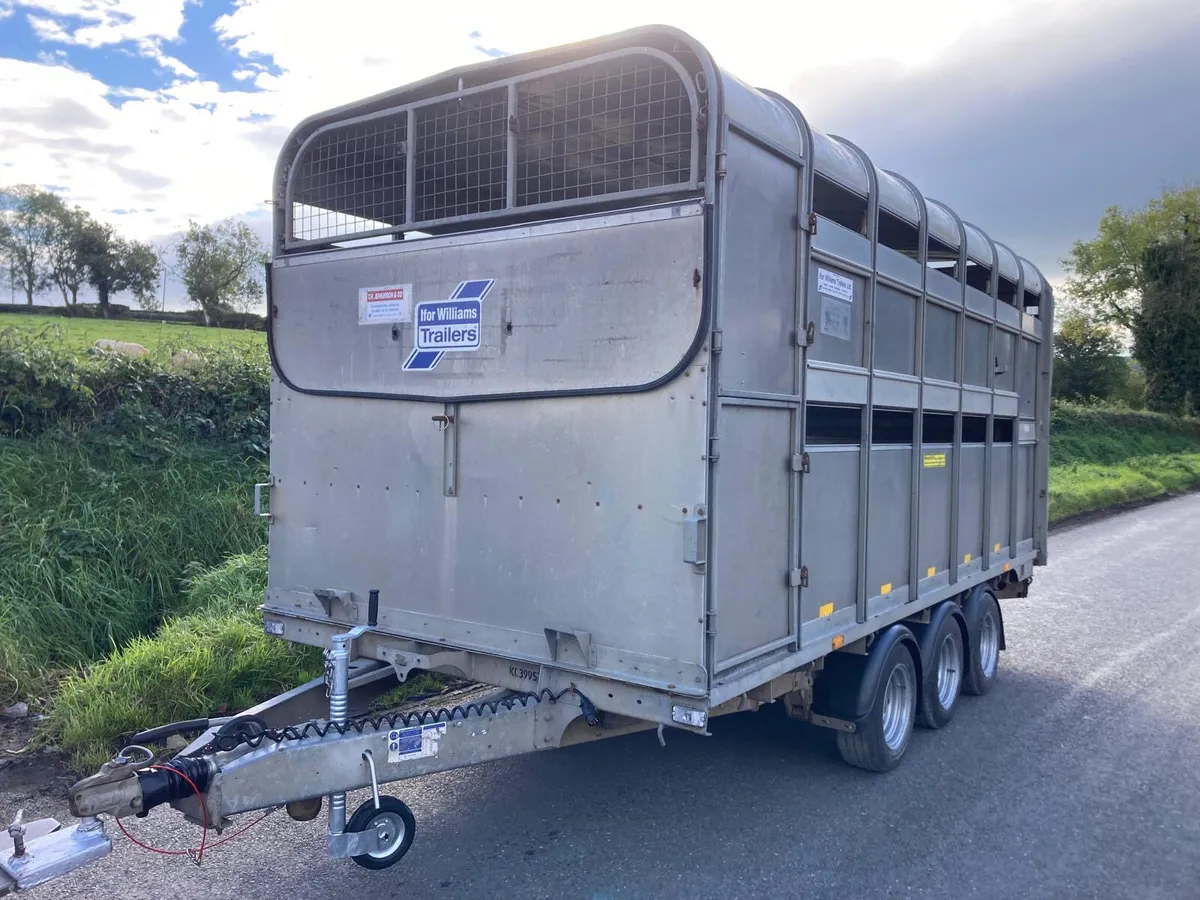 2019 Ifor Williams DP120 14ft Tri Decks Trailer - Image 4