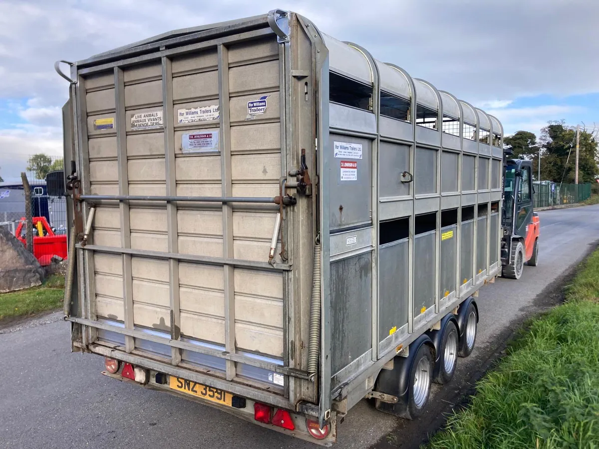 2019 Ifor Williams DP120 14ft Tri Decks Trailer - Image 3
