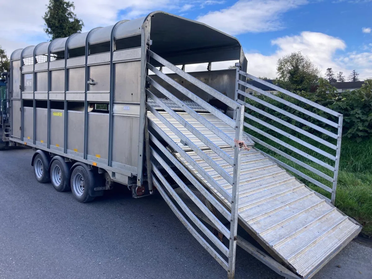 2019 Ifor Williams DP120 14ft Tri Decks Trailer - Image 1