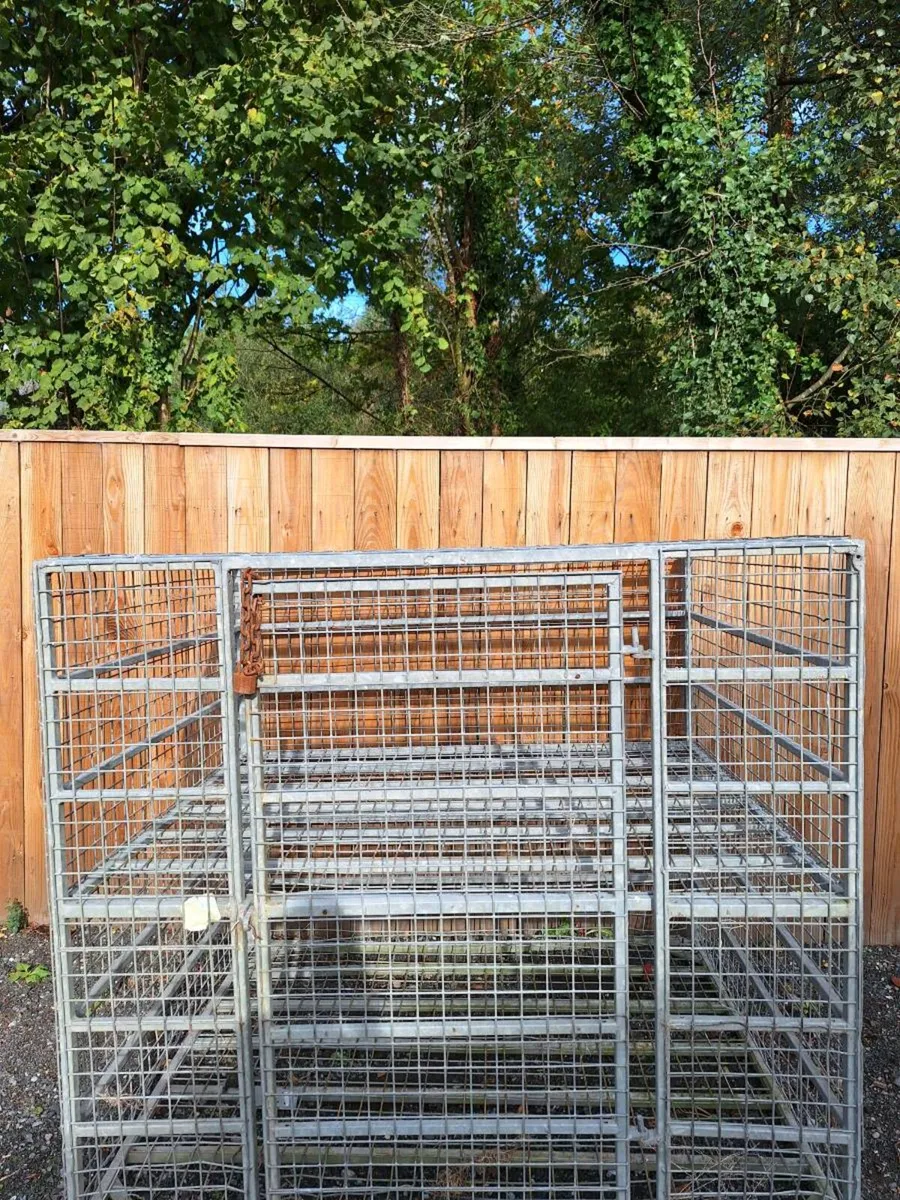 Cage - Image 3